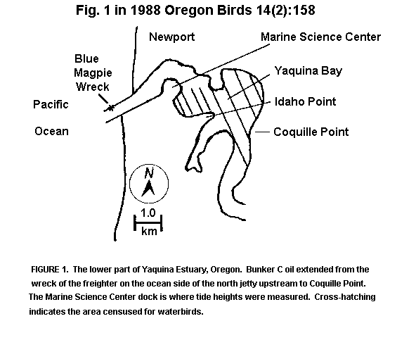 map of lower Yaquina Estuary and the Blue Magpie on the ocean side of the North Jetty